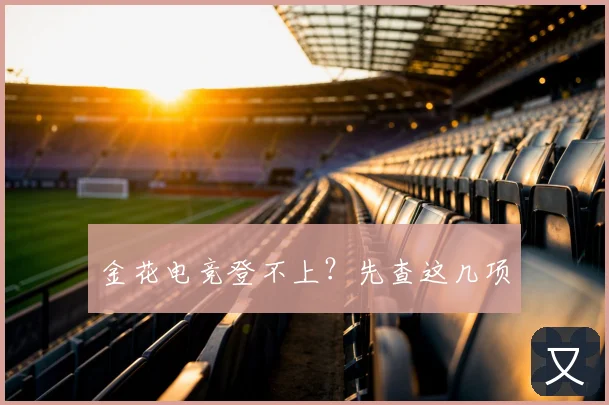 金花电竞登不上？先查这几项