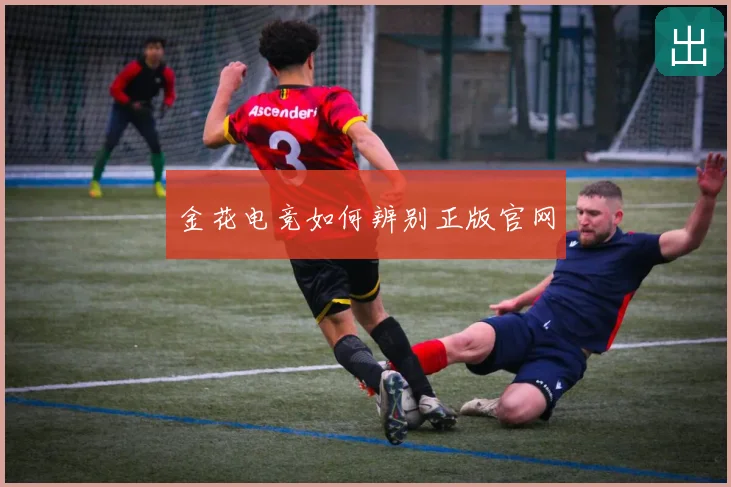 金花电竞如何辨别正版官网