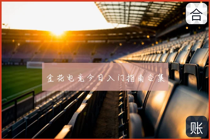 金花电竞今日入门指南合集